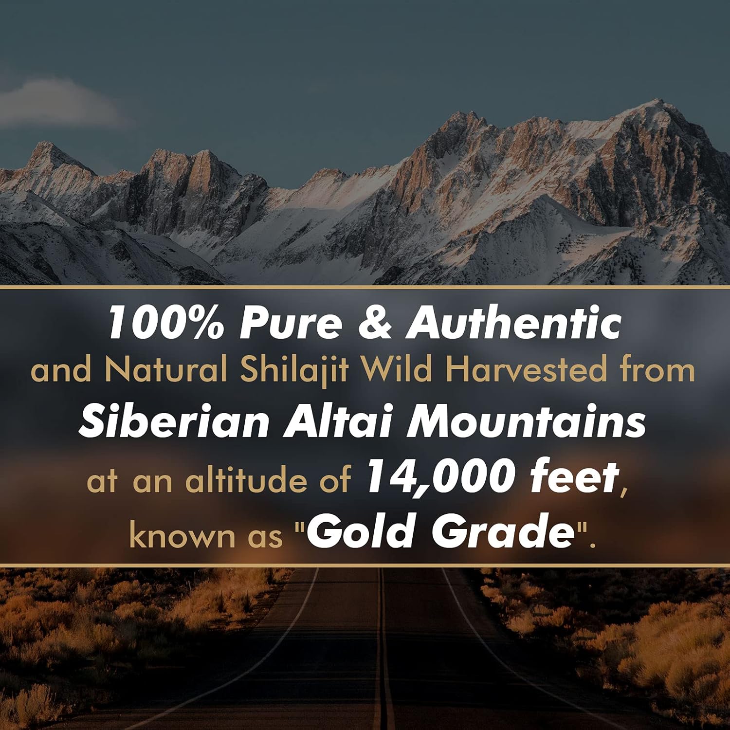Original Pure Shilajit Resin w - đánh giá và giá Shilajit Resin Pure