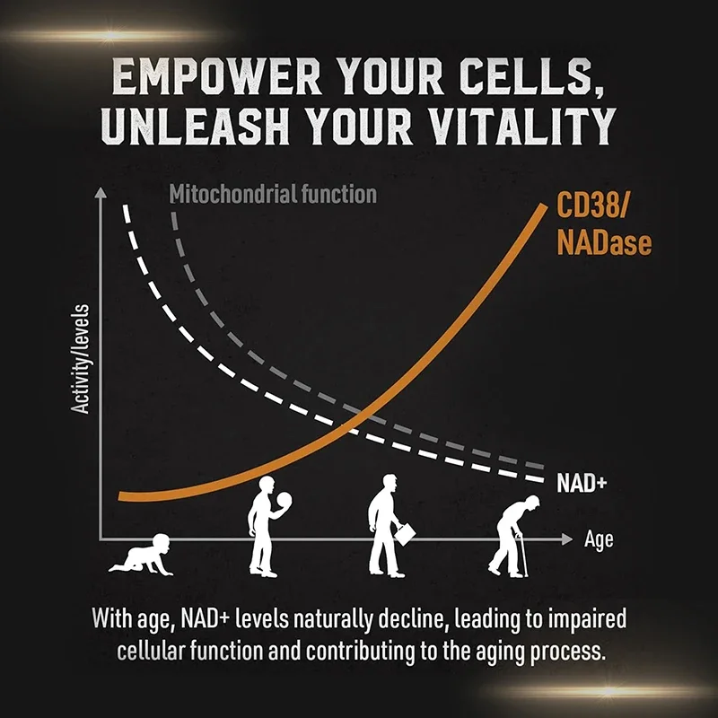 Liposomal NAD Supplement - Sup - đánh giá và giá Pre Workout Supplement